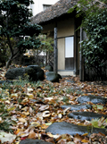 Stepping stones leading to the teahouse