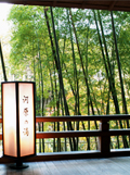 Bamboo grove outside of the indoor bathroom