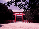 Shimogamo-jinja Shrine