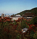 Kiyomizu Temple