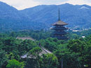 Koufuku-ji Temple