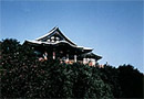 Chogosonshi-ji Temple 