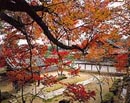 Saikyo-ji Temple