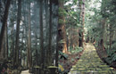 Kumano Ancient Road Museum