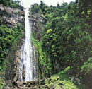 Nachi Waterfall